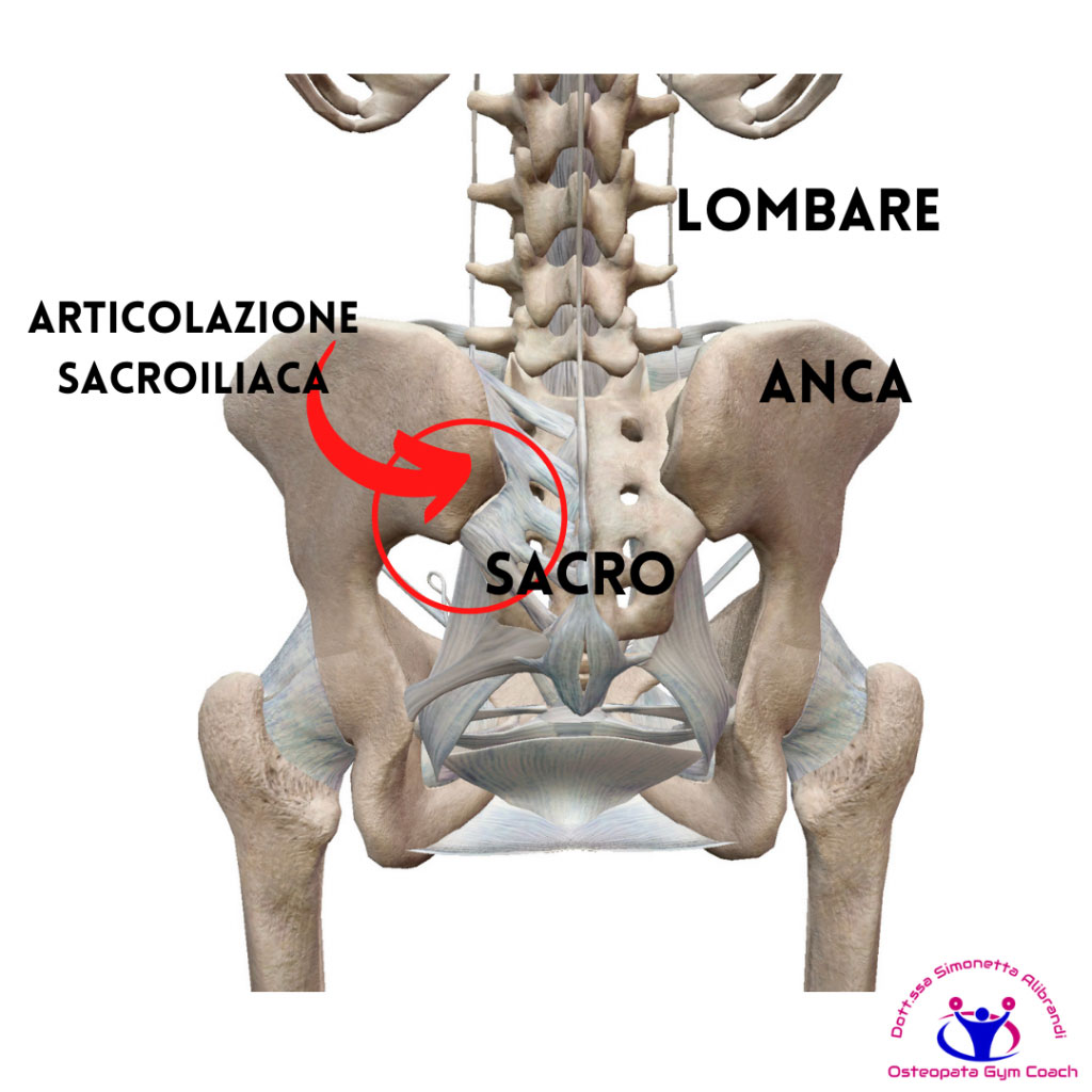 articolazione sacroiliaca