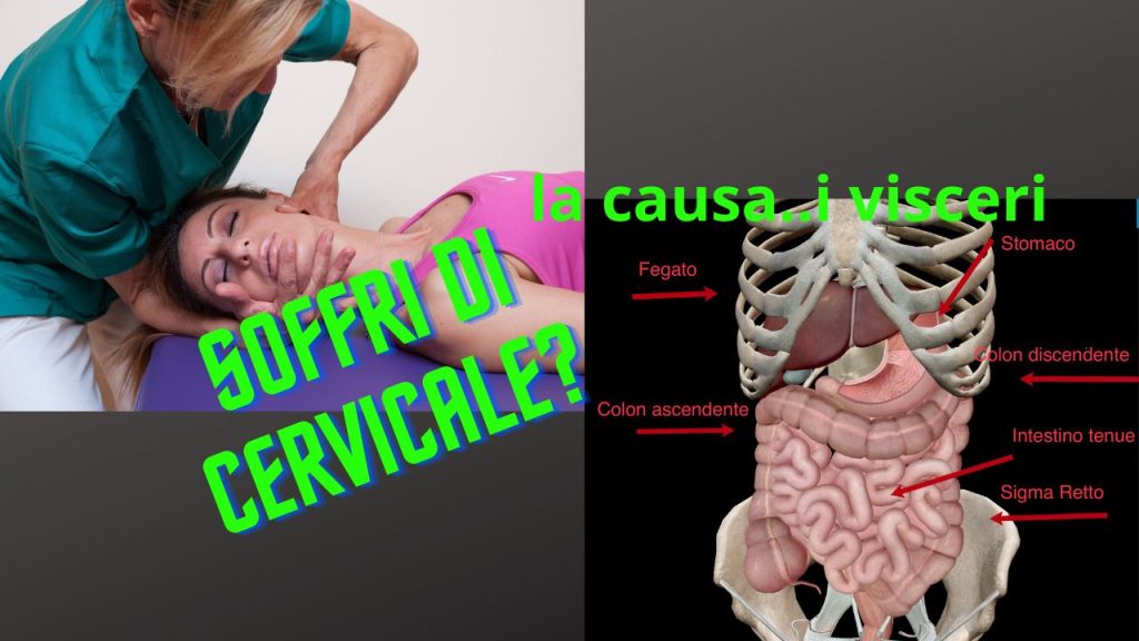 dolore cervicale causato dai visceri