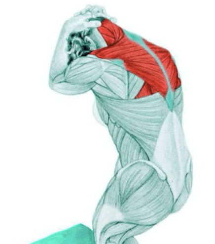 stretching per I flessori del collo