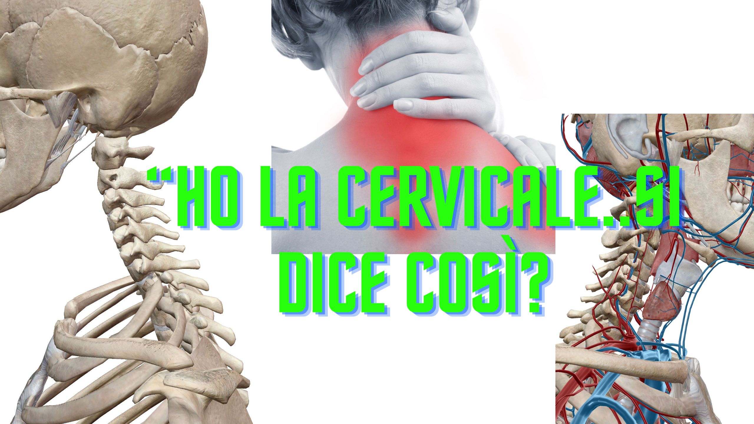 rachide cervicale e dolore cervicale o cervicalgia