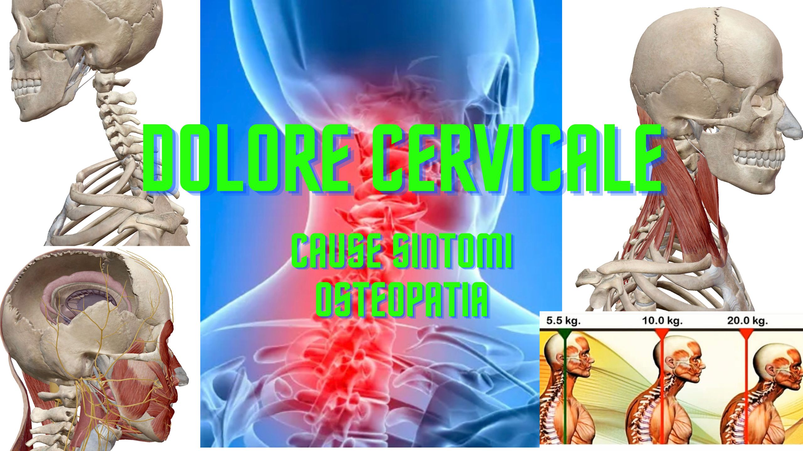 dolore cervicale cervicalgia sintomi cause e osteopatia